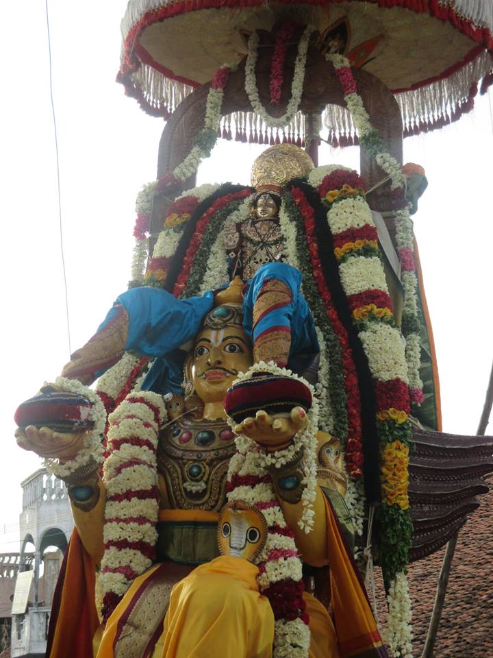 Narasingapuram Brahmotsavam Garuda Vahanam4