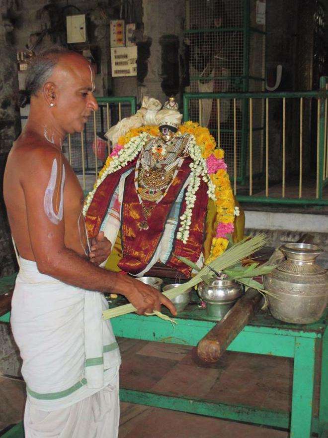 Narasingapuram Brahmotsavam Senai Mudalvar1
