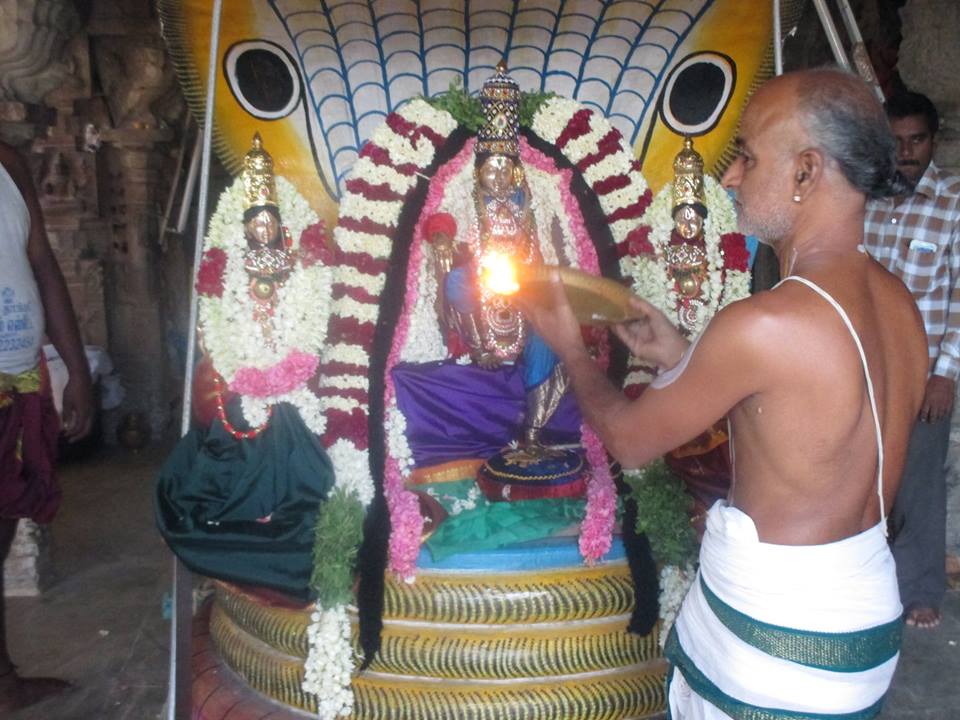 Narasingapuram Brahmotsavam Sesha Vahanam