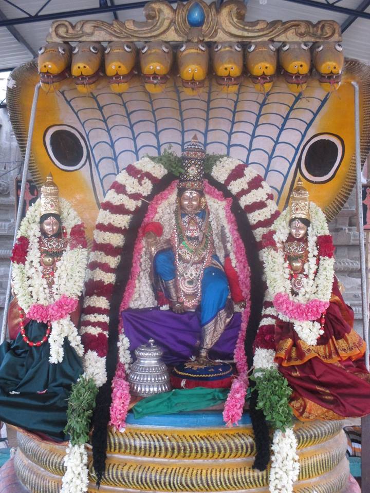 Narasingapuram Brahmotsavam Sesha Vahanam2
