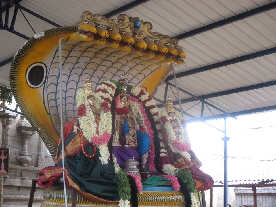 Narasingapuram Brahmotsavam Sesha Vahanam3