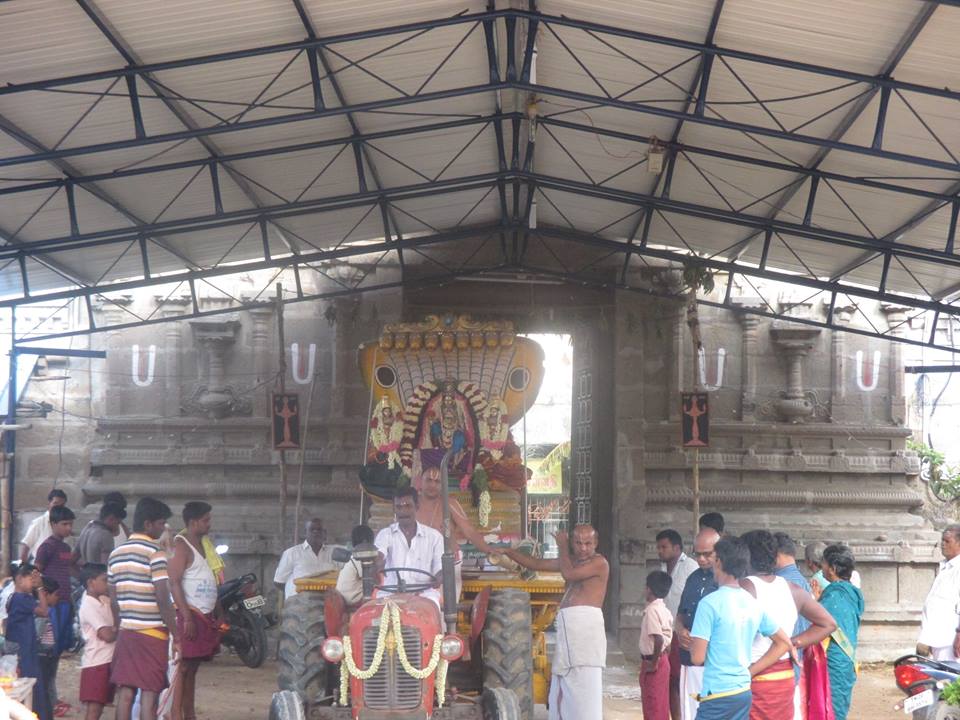 Narasingapuram Brahmotsavam Sesha Vahanam4