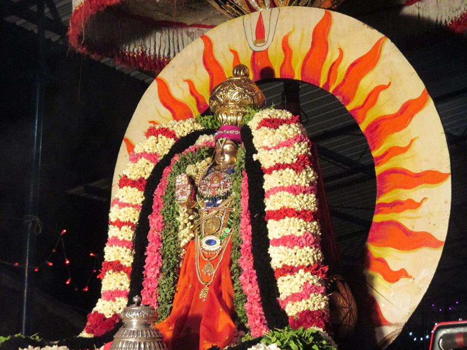 Narasingapuram Brahmotsavam Surya Prabha1