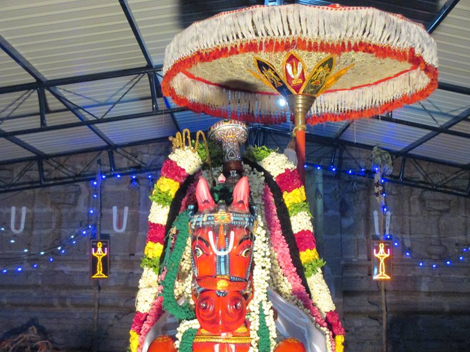Narasingapuram Kudhirai Vahanam2