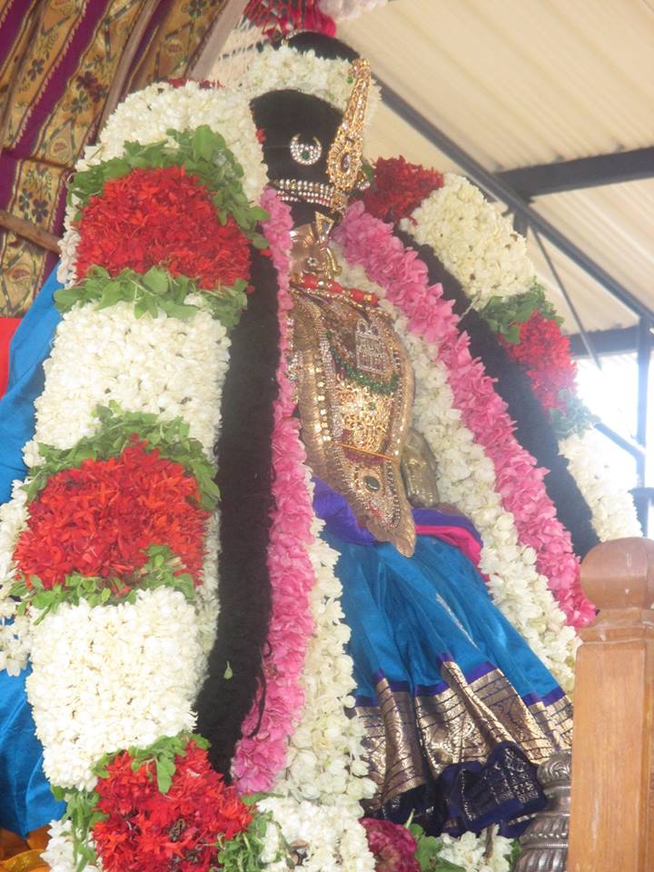Narasingapuram Nachiyar Thirukolam2