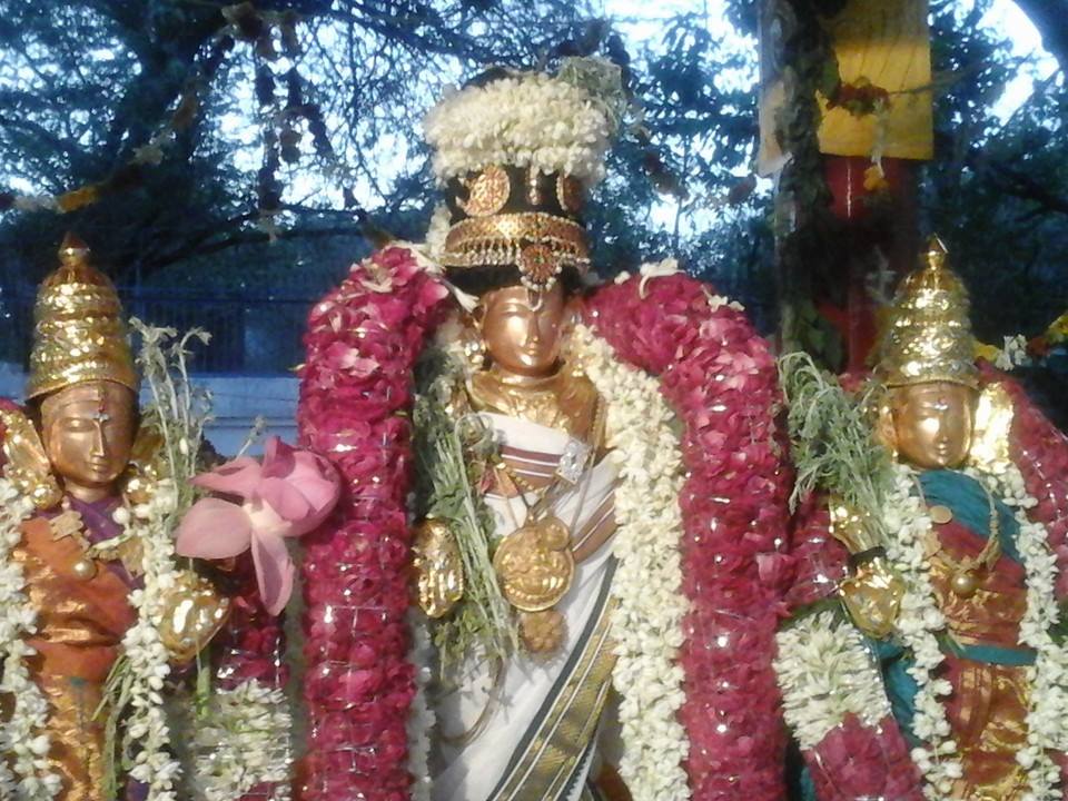 New Delhi Balaji Mandir Vasanthotsavam3