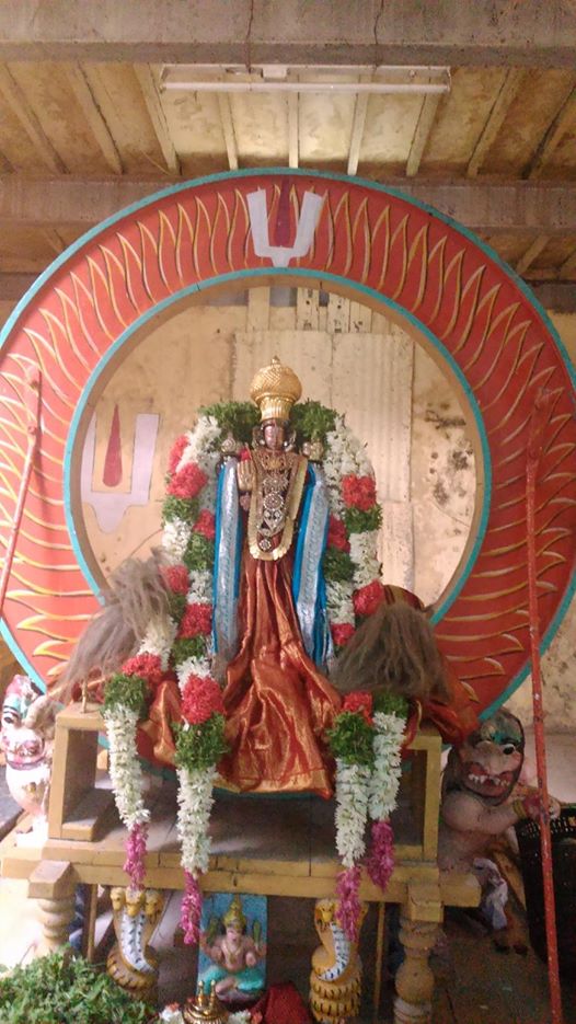 Singaperumal Brahmotsavam Surya Prabha