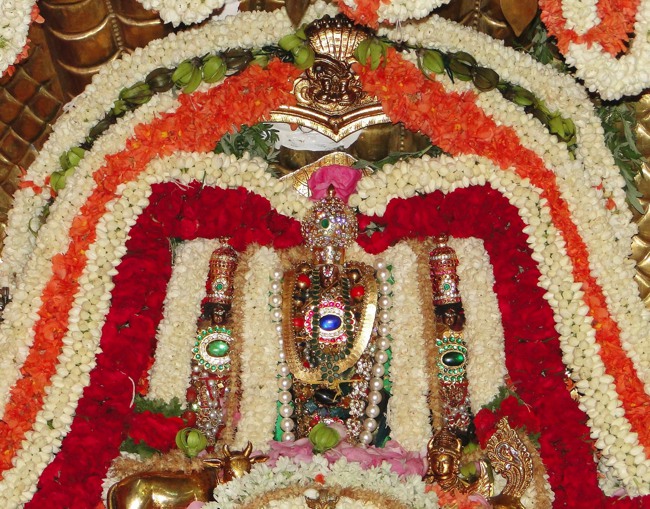 Srimushnam Andavan 80th Thirunakshatram at Bangalore  2014--0008