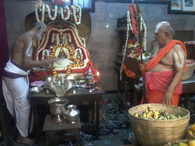 Srimushnam Andavan 80th Thirunakshatram at Bangalore  2014--11