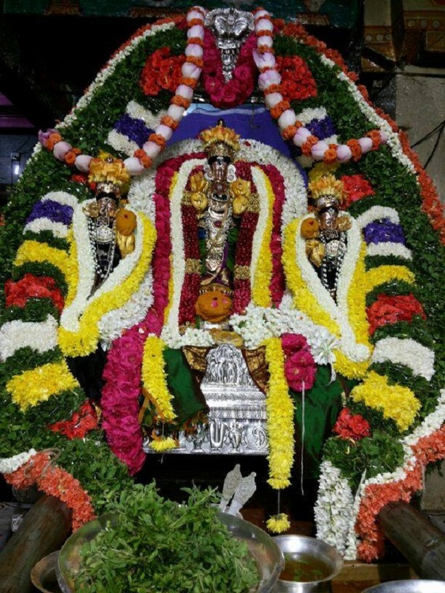 Swami Nammazhwar Thirunakshatram At Malleswaram Sri Venugopala Krishnaswamy Temple1