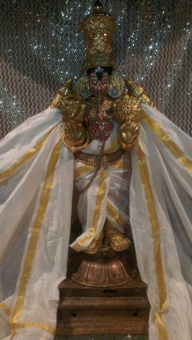 Swami Nammazhwar Thirunakshatram At Malleswaram Sri Venugopala Krishnaswamy Temple13
