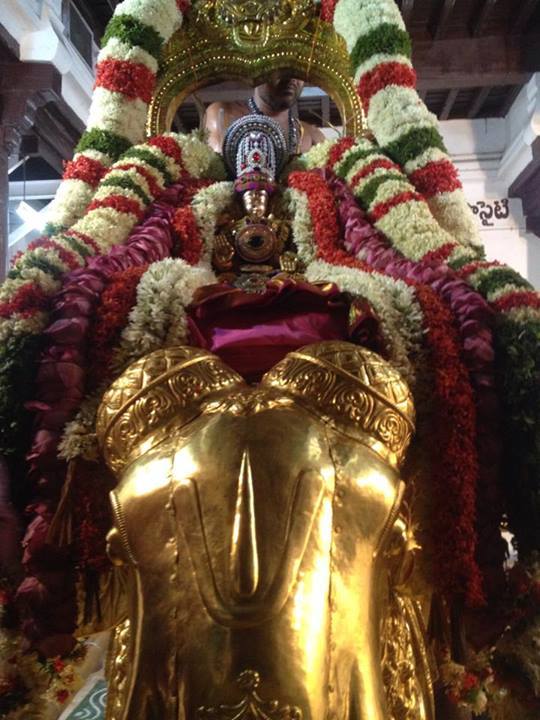 Thiruchanoor Theppotsavam Gaja vahanam