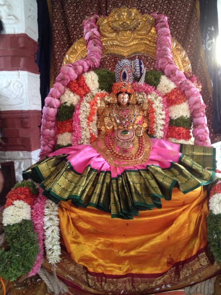 Thiruchanoor Theppotsavam2