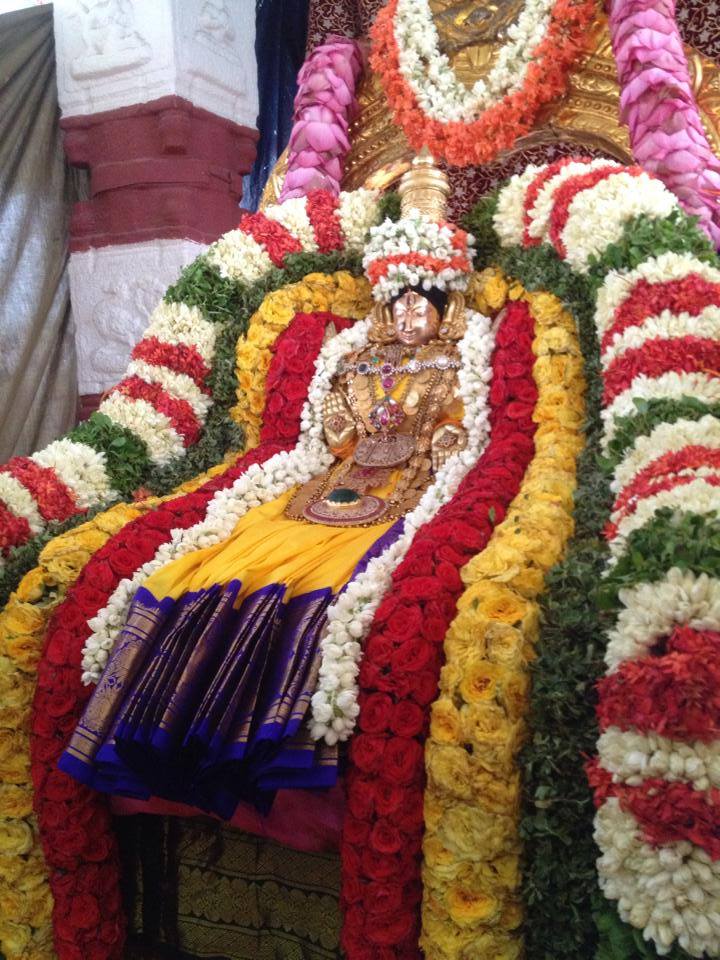 Thiruchanoor Theppotsavam3
