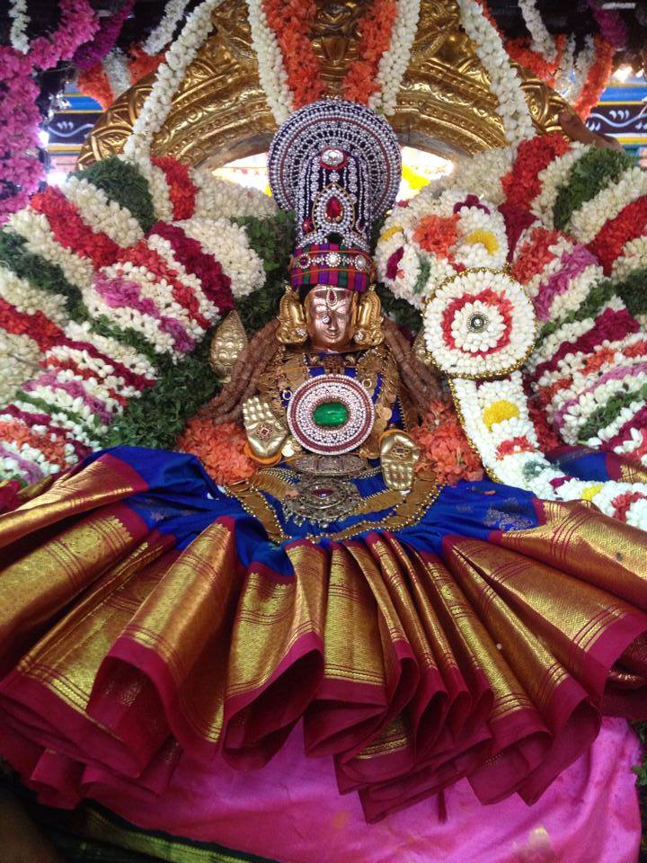Thiruchanoor Theppotsavam