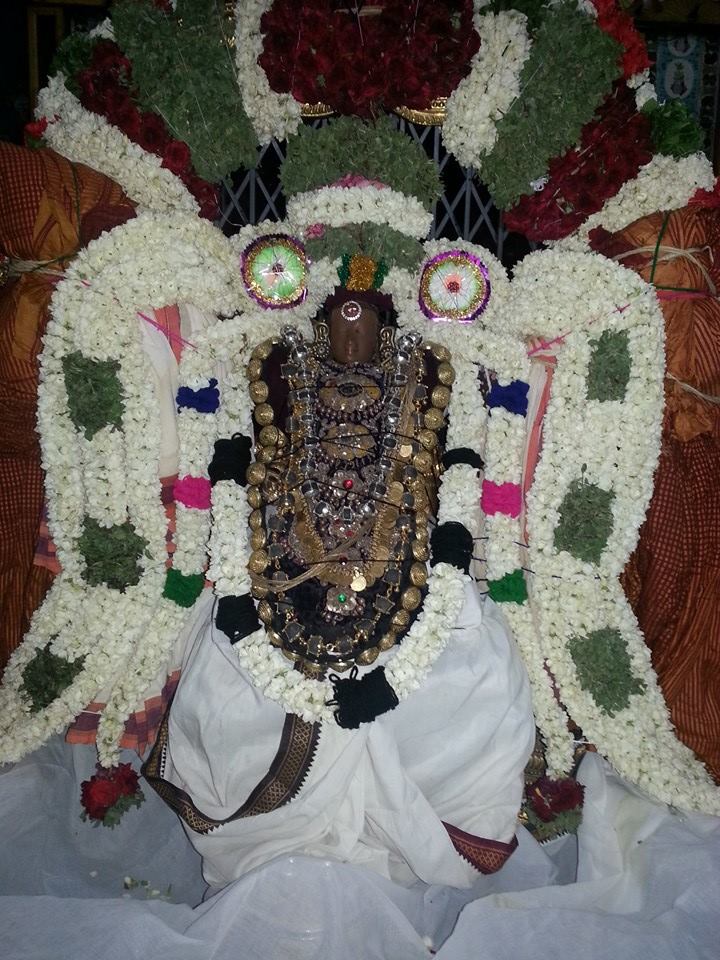 Thirukannapuram Brahmotsavam2