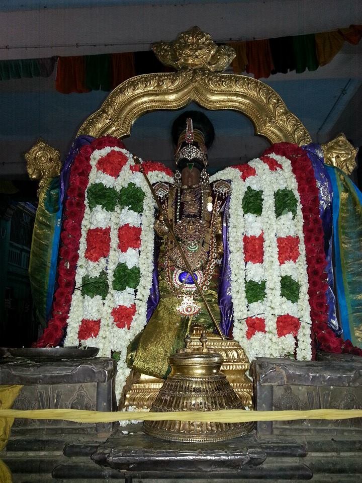 Thirukannapuram Brahmotsavam3