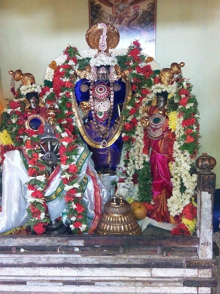 Thirukkoshtiyur Vasanthotsavam1