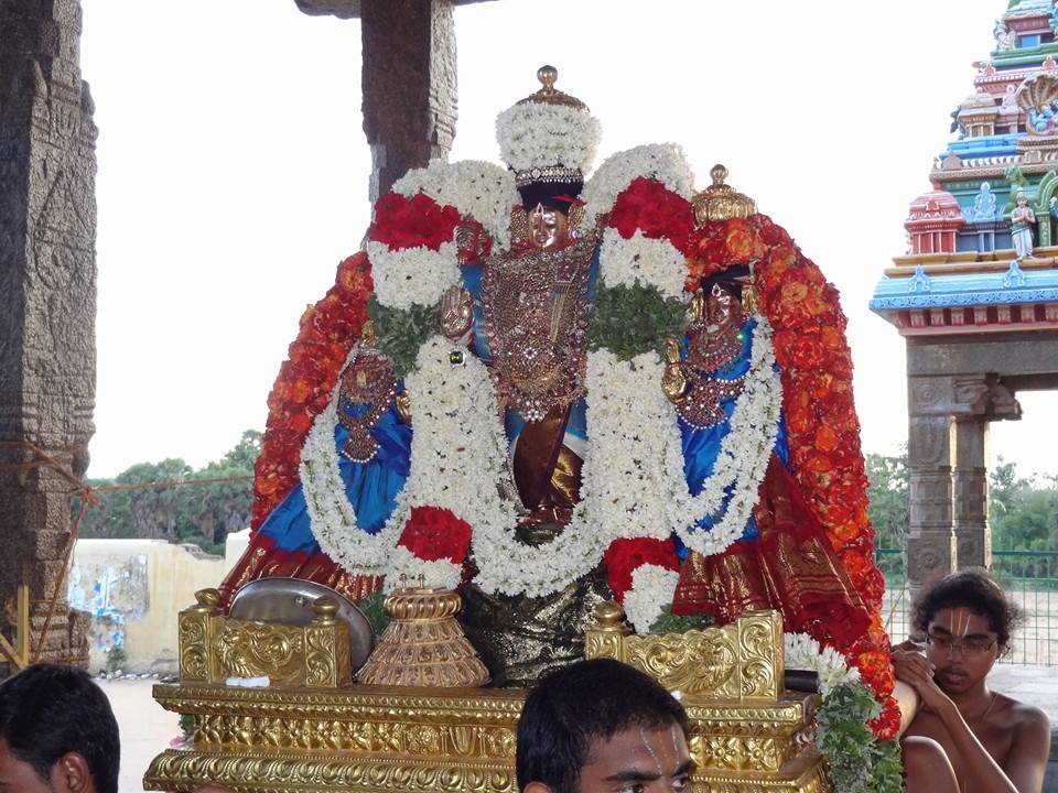 Thiruvahindrapuram Devanathan Vasanthotsavam