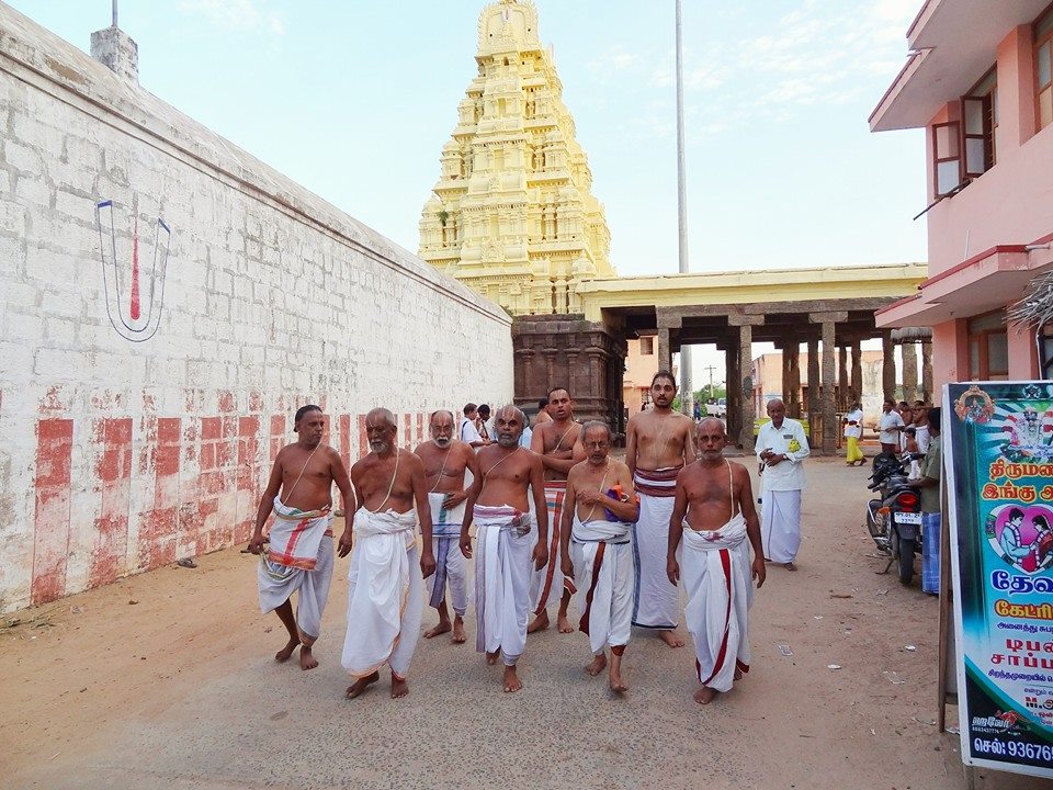 Thiruvahindrapuram Devanathan Vasanthotsavam1