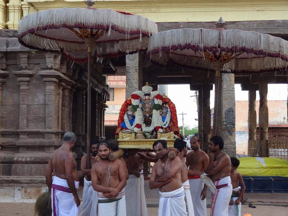 Thiruvahindrapuram Devanathan Vasanthotsavam2