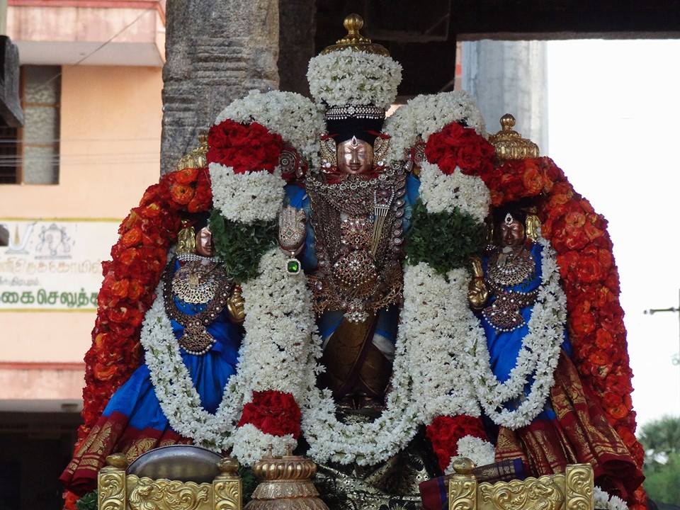 Thiruvahindrapuram Devanathan Vasanthotsavam3