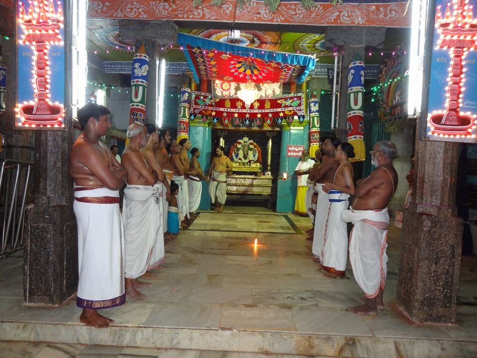 Thiruvahindrapuram Devanathan Vasanthotsavam4