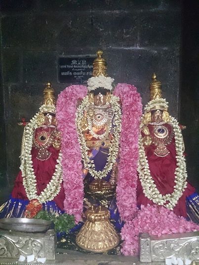 Thiruvahindrapuram Devanathan