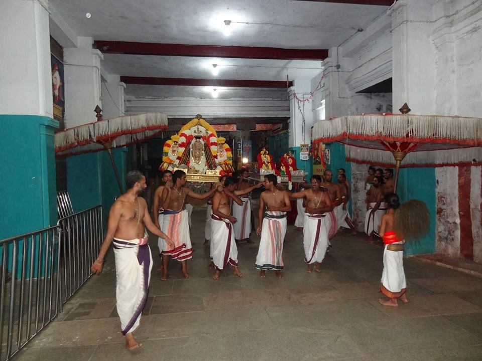 Thiruvahindrapuram Namazhwar Satrumurai11