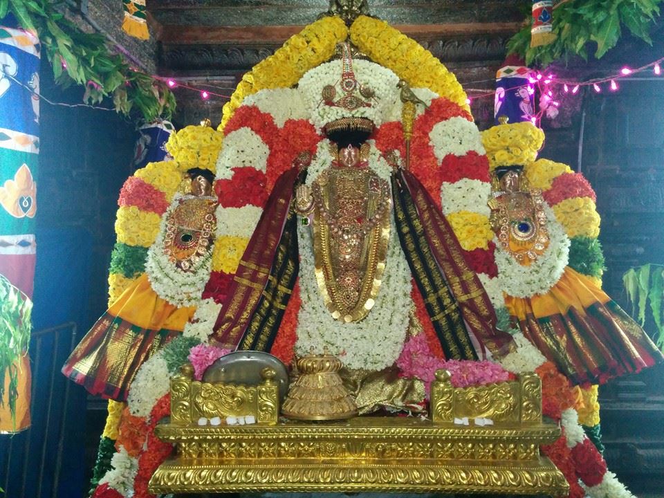 Thiruvahindrapuram Namazhwar Satrumurai3