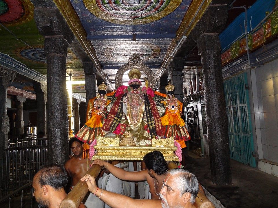 Thiruvahindrapuram Namazhwar Satrumurai7