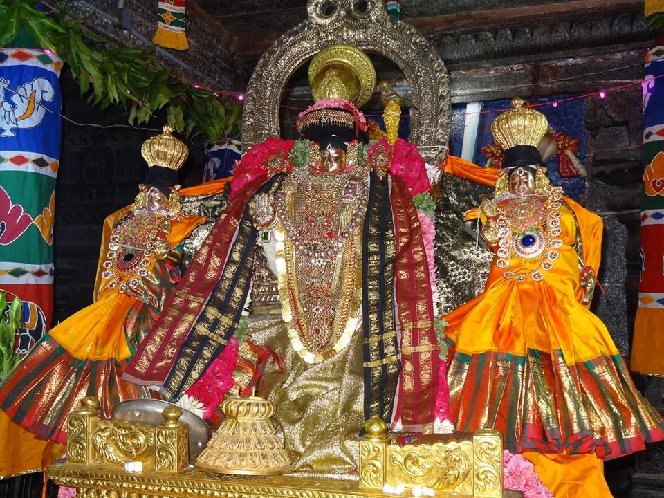 Thiruvahindrapuram Namazhwar Satrumurai8