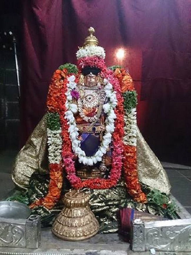 Thiruvahindrapuram Sri Devanathan Perumal Amavasai Purappadu2
