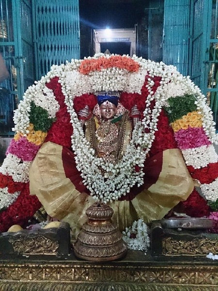 Thiruvahindrapuram Sri Devanathan Perumal Temple Thayar Velli Kizhamai Purappadu1