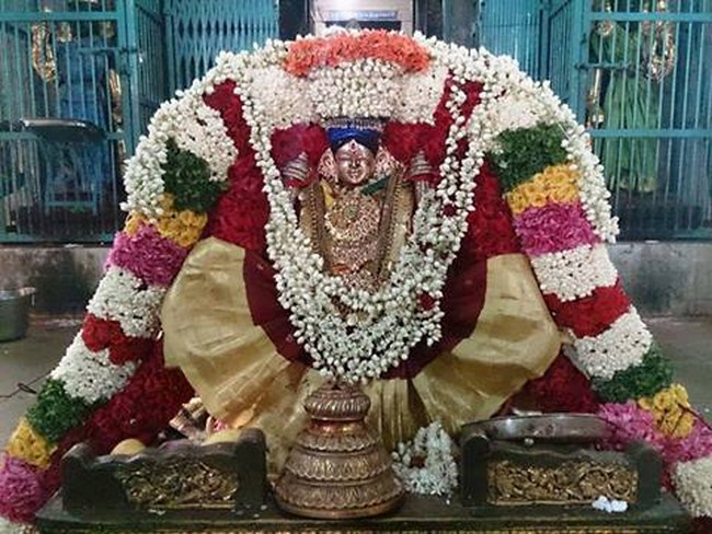 Thiruvahindrapuram Sri Devanathan Perumal Temple Thayar Velli Kizhamai Purappadu3