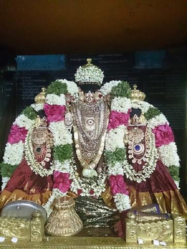 Thiruvahindrapuram Sri Devanathan Perumal Temple Vasanthotsavam 1