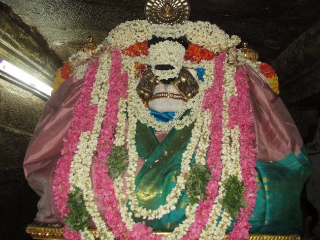 Thiruvahindrapuram Sri Devanathan Perumal Temple Vasanthotsavam 2