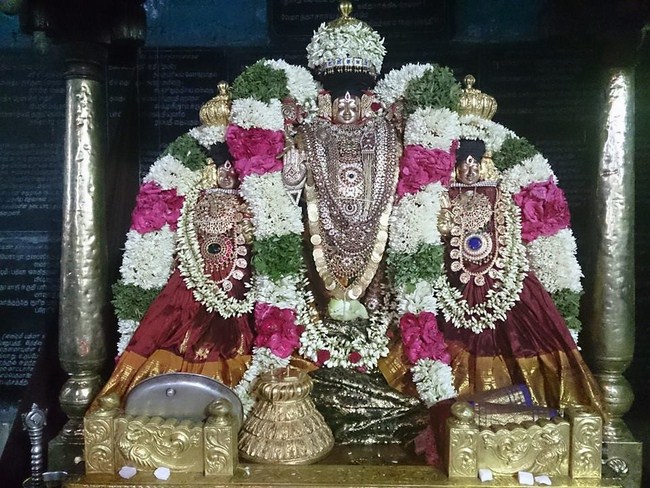 Thiruvahindrapuram Sri Devanathan Perumal Temple Vasanthotsavam 3