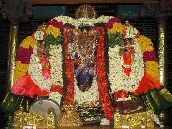 Thiruvahindrapuram Sri Devanathan Perumal Temple Vasanthotsavam 4