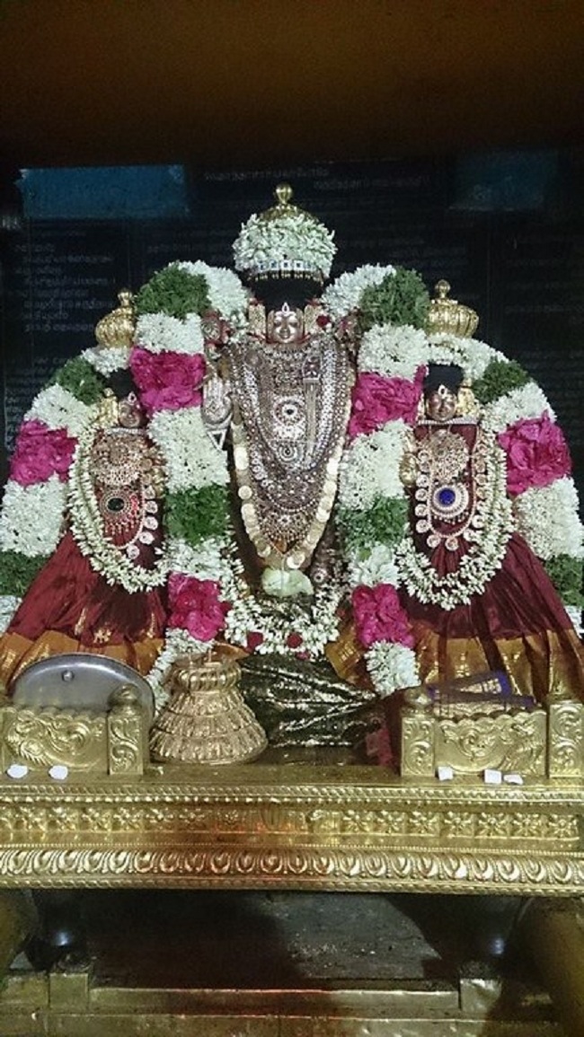 Thiruvahindrapuram Sri Devanathan Perumal Temple Vasanthotsavam 4