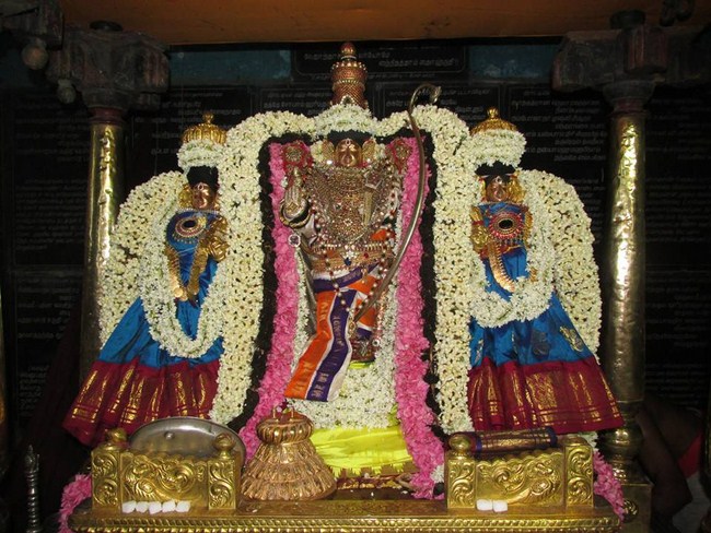 Thiruvahindrapuram Sri Devanathan Perumal Temple Vasanthotsavam 5