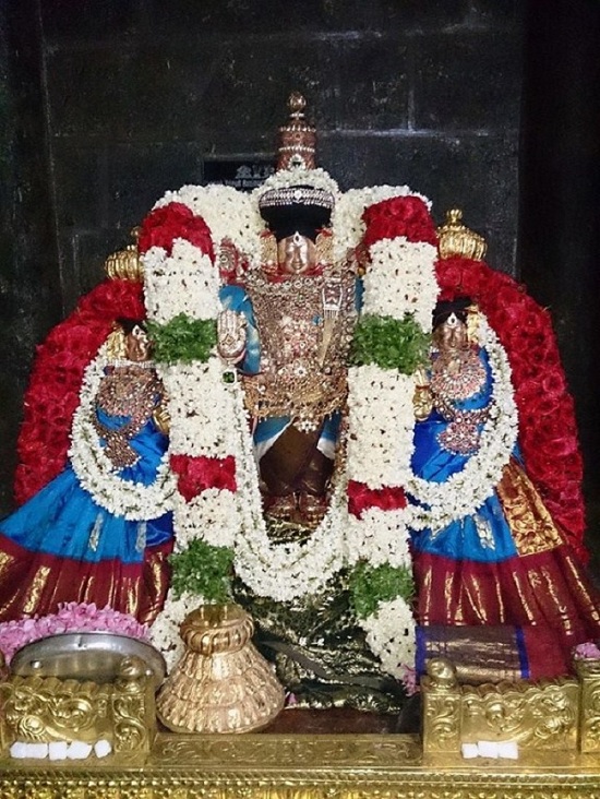 Thiruvahindrapuram Sri Devanathan Perumal Temple Vasanthotsavam 6