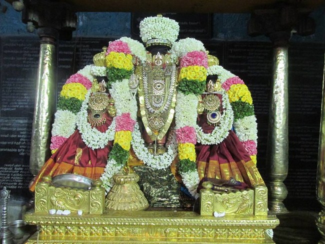 Thiruvahindrapuram Sri Devanathan Perumal Temple Vasanthotsavam1