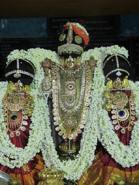 Thiruvahindrapuram Sri Devanathan Perumal Temple Vasanthotsavam4