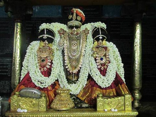 Thiruvahindrapuram Sri Devanathan Perumal Temple Vasanthotsavam5