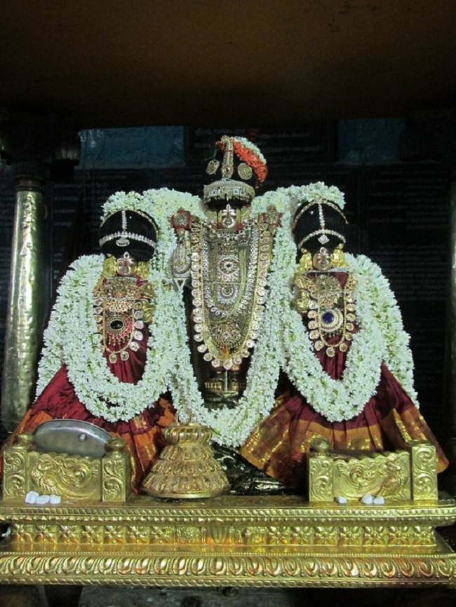 Thiruvahindrapuram Sri Devanathan Perumal Temple Vasanthotsavam6