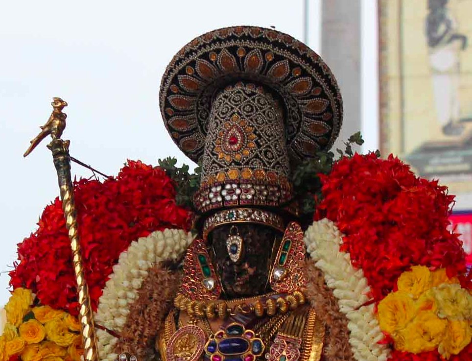 Thiruvallikeni Parthasarathy Kodai Utsavam1