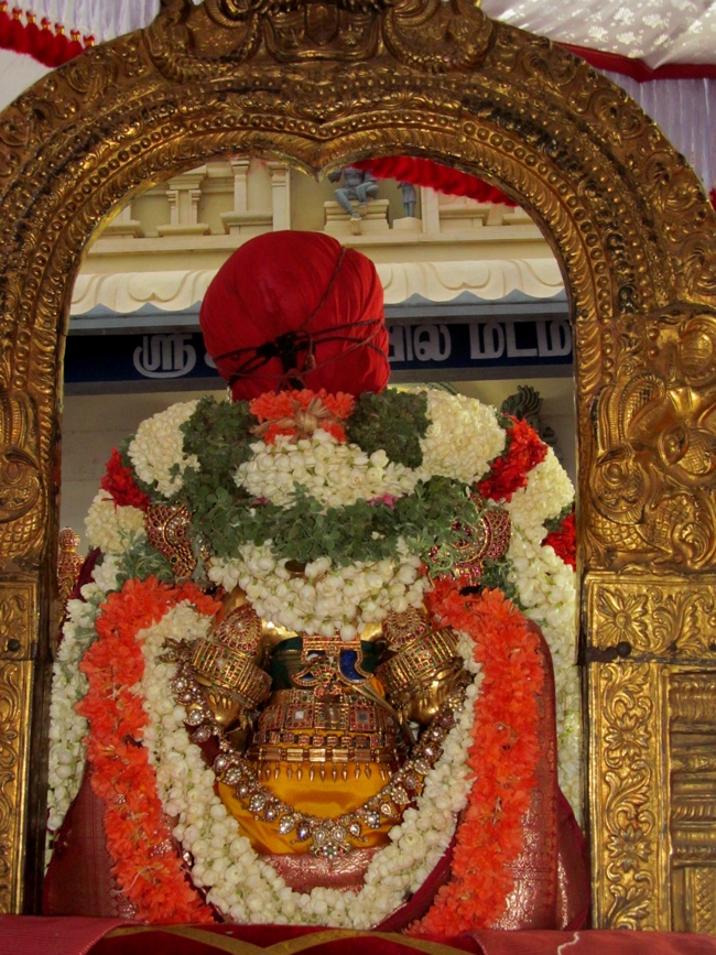 Thiruvallur Sri Veeraraghava Perumal Aani Theppotsavam Day 3 28-06-2014   05
