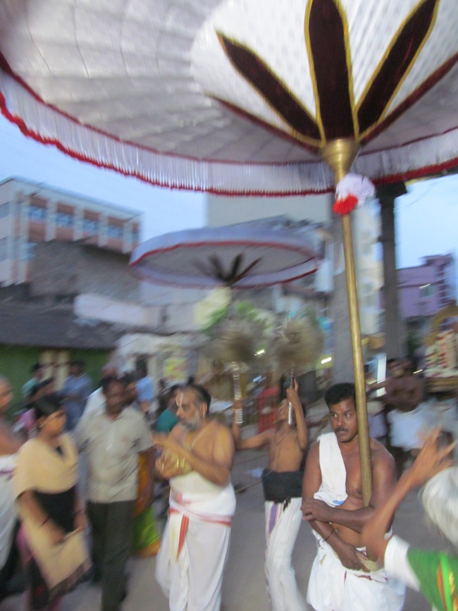 Thiruvallur Sri Veeraraghava Perumal Aani Theppotsavam Day 3 28-06-2014   07
