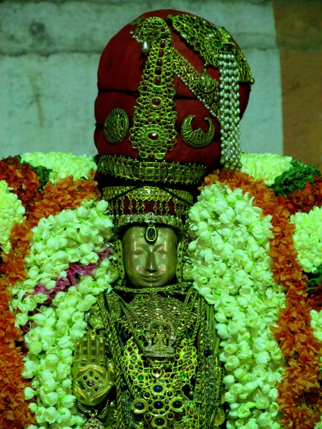 Thiruvallur Sri Veeraraghava Perumal Aani Theppotsavam Day 3 28-06-2014   15